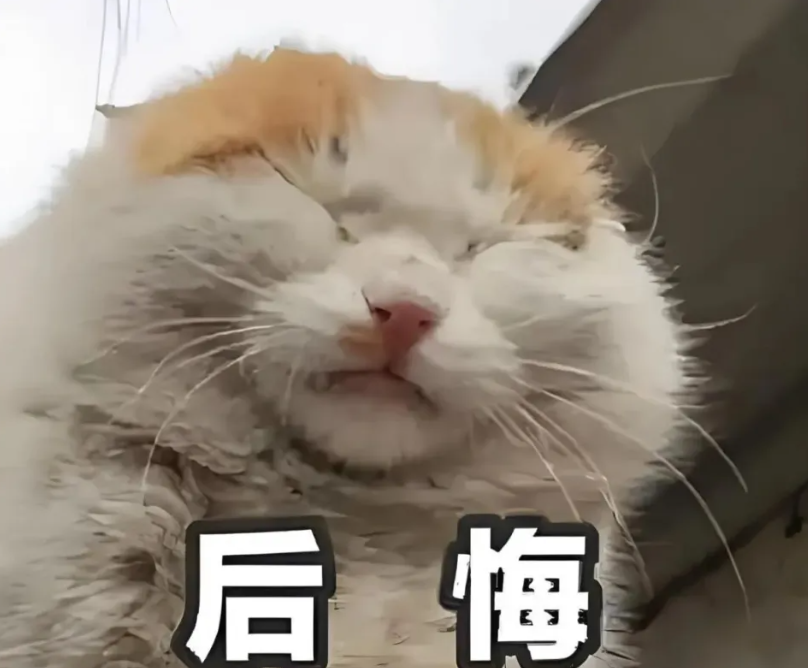 屏幕截图 2025-06-10 120830.png